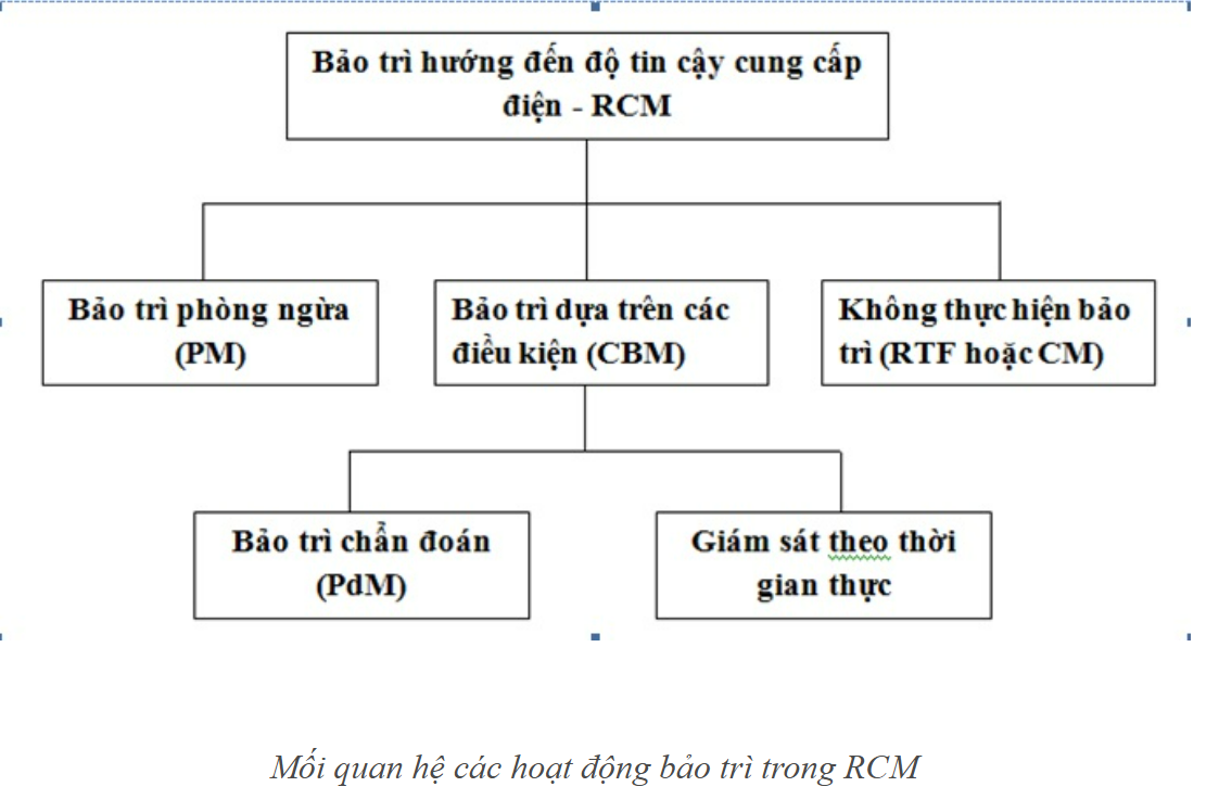 3.Moiquan RCM